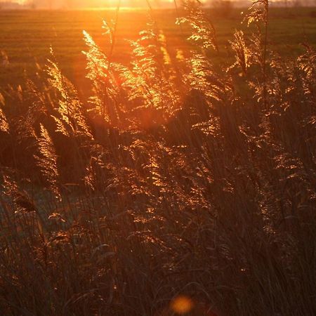Ferienwohnung-Sonnenmeer نايهالينجازييل المظهر الخارجي الصورة